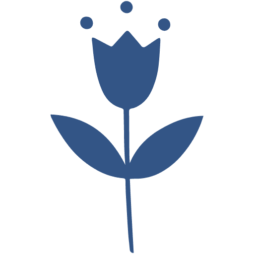 Malina More Studio Logo